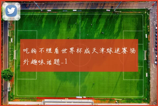 吃狗不理看世界杯成天津球迷赛场外趣味话题_1