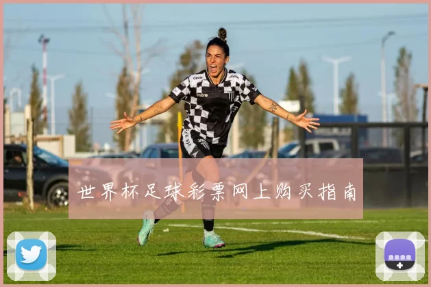 世界杯足球彩票网上购买指南