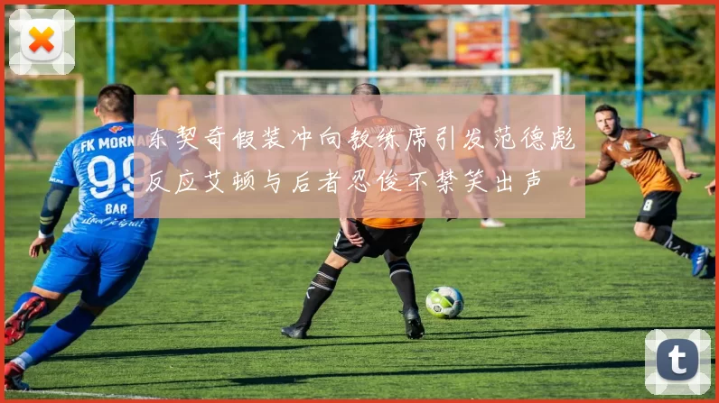 东契奇假装冲向教练席引发范德彪反应艾顿与后者忍俊不禁笑出声