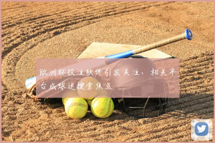 欧洲杯投注软件引发关注,相关平台成球迷搜索焦点