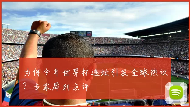 为何今年世界杯选址引发全球热议？专家犀利点评