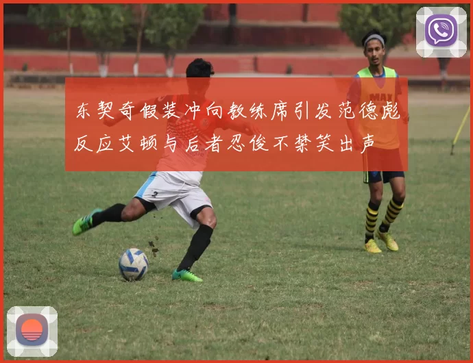 东契奇假装冲向教练席引发范德彪反应艾顿与后者忍俊不禁笑出声