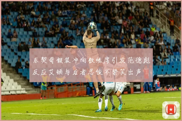 东契奇假装冲向教练席引发范德彪反应艾顿与后者忍俊不禁笑出声