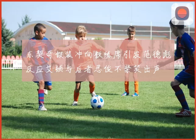 东契奇假装冲向教练席引发范德彪反应艾顿与后者忍俊不禁笑出声