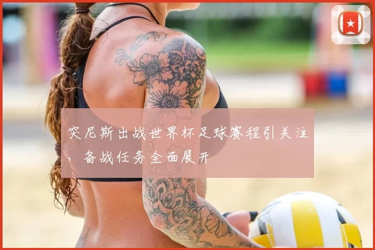 突尼斯出战世界杯足球赛程引关注，备战任务全面展开