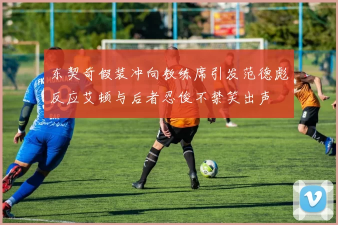东契奇假装冲向教练席引发范德彪反应艾顿与后者忍俊不禁笑出声