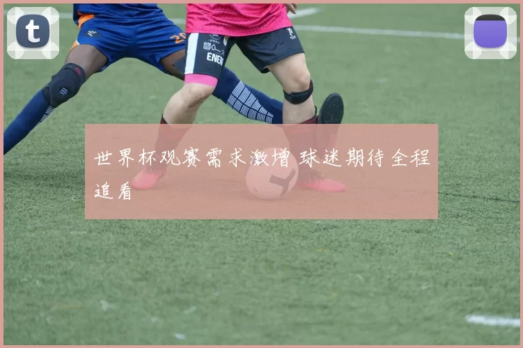 世界杯观赛需求激增 球迷期待全程追看