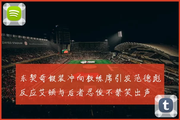 东契奇假装冲向教练席引发范德彪反应艾顿与后者忍俊不禁笑出声