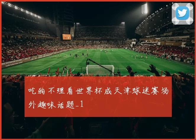 吃狗不理看世界杯成天津球迷赛场外趣味话题_1