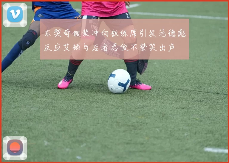 东契奇假装冲向教练席引发范德彪反应艾顿与后者忍俊不禁笑出声