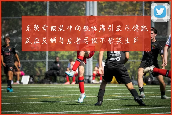 东契奇假装冲向教练席引发范德彪反应艾顿与后者忍俊不禁笑出声