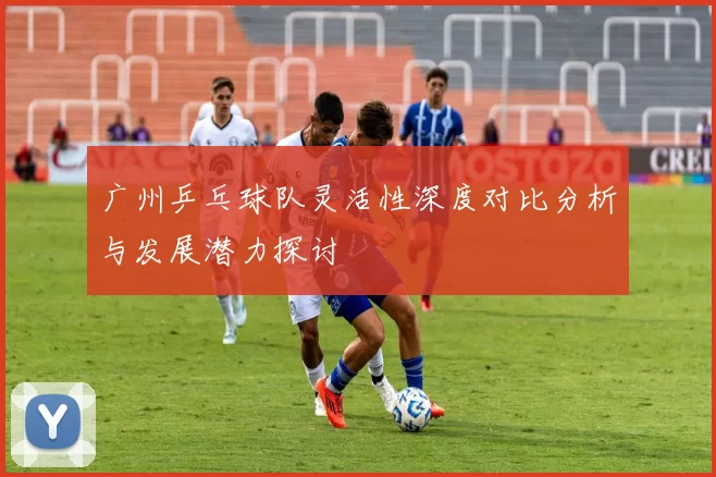 广州乒乓球队灵活性深度对比分析与发展潜力探讨