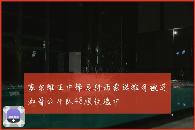 塞尔维亚中锋马科西蒙诺维奇被芝加哥公牛队48顺位选中