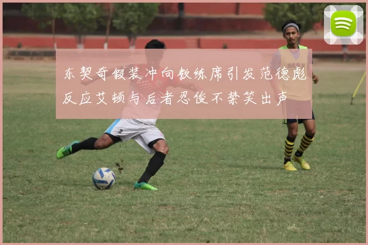 东契奇假装冲向教练席引发范德彪反应艾顿与后者忍俊不禁笑出声