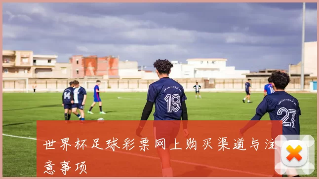 世界杯足球彩票网上购买渠道与注意事项