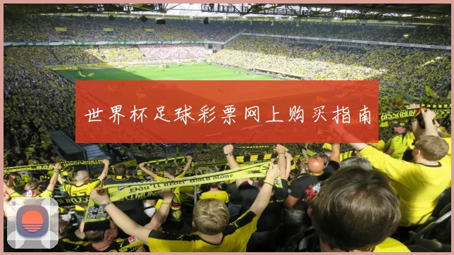世界杯足球彩票网上购买指南