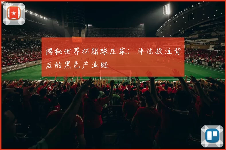揭秘世界杯赌球庄家：非法投注背后的黑色产业链