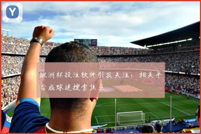 欧洲杯投注软件引发关注,相关平台成球迷搜索焦点
